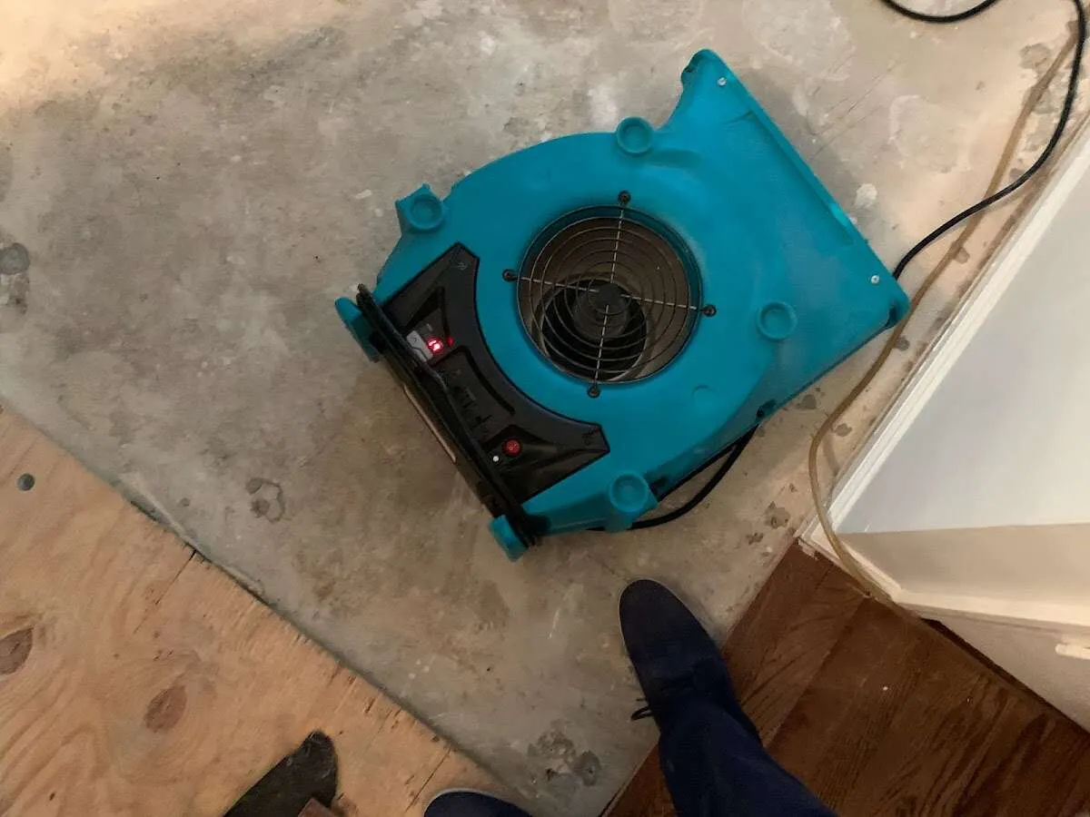 Air mover drying subfloor during Leak Detection & Repair in Headland